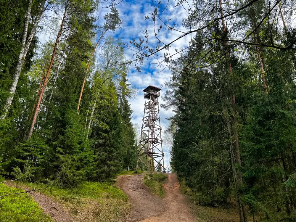 Огре. Смотровая вышка