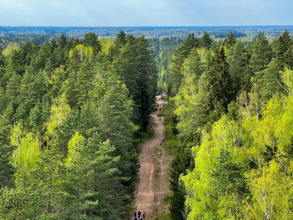 Огре. Панорама со смотровой вышки