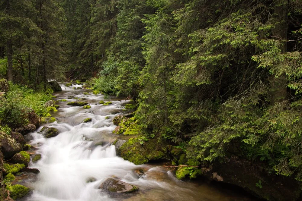 Долина Косцелиско