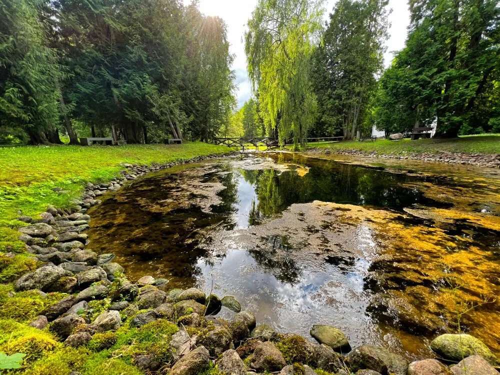 Смардонес шалтинис