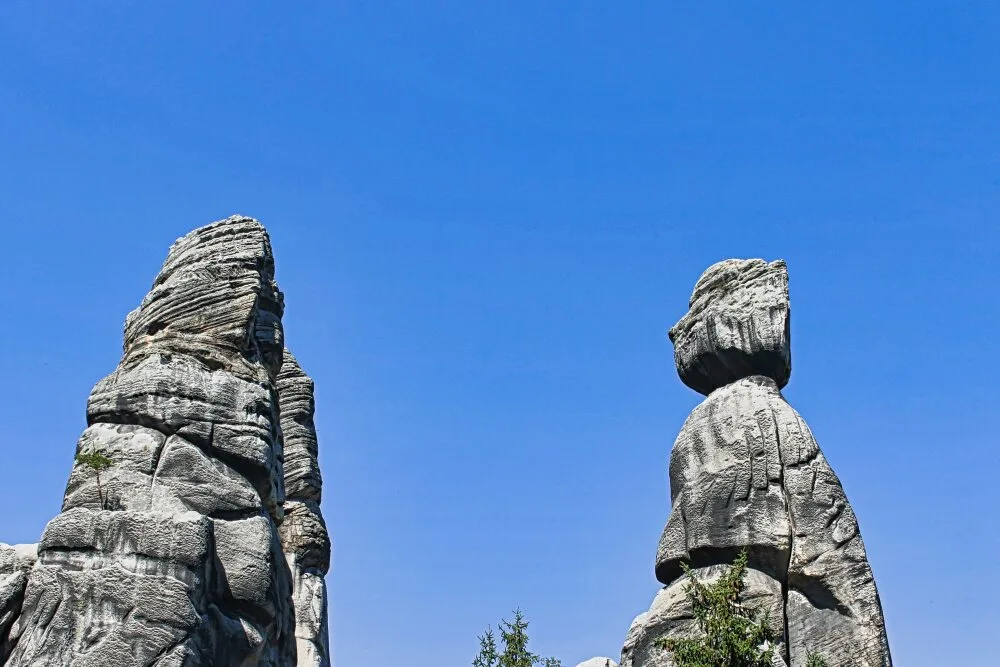 Староста и Старостова